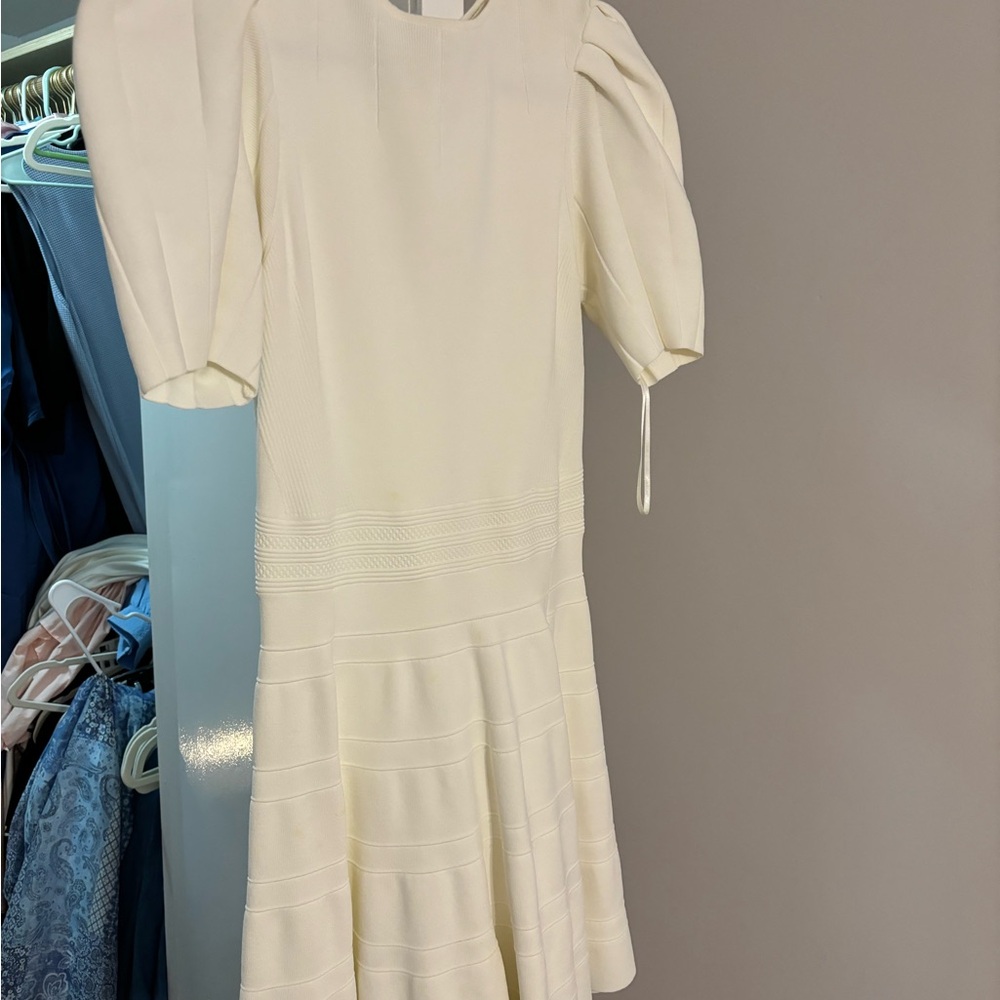 Ted Baker London Ivory Mini Dress